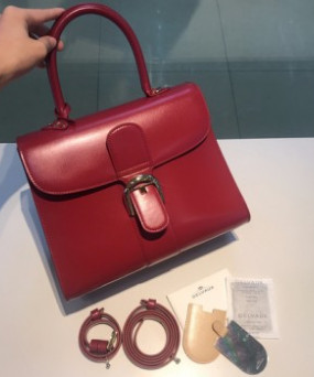 델보 브리앙 박스백 미듐